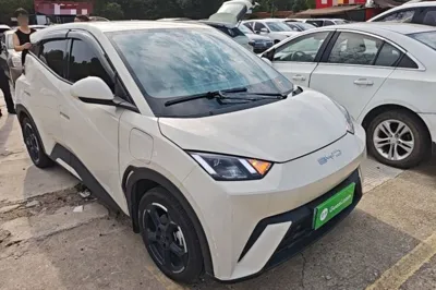 BYD Seagull