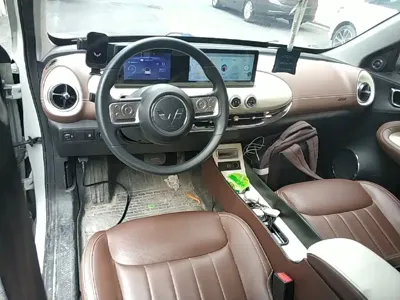 Wuling Bingo
