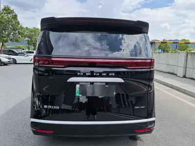 Denza Denza D9