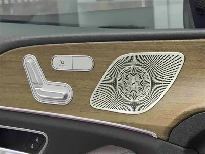 Mercedes-Benz GLE New Energy
