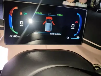 BYD Seagull