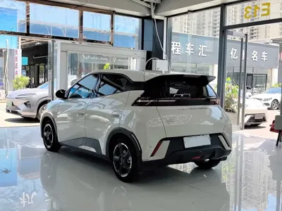 BYD Seagull
