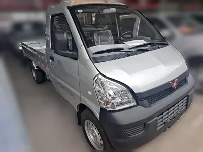 Wuling Rongguang Mini Truck