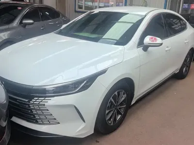 BYD Destroyer 05
