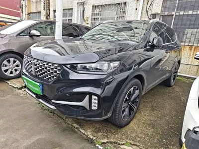 WEY Wey VV6