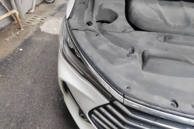 BYD Song Max