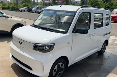 Wuling Zhiguang New Energy