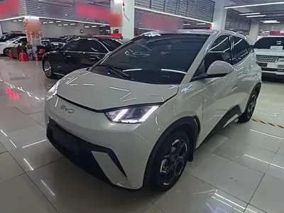 BYD Seagull