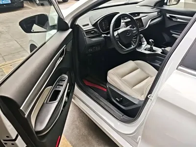 Geely Binrui