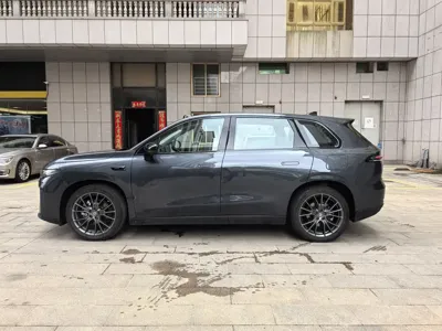 Leapmotor Leapmotor C10