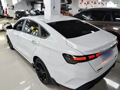 Geely Binrui