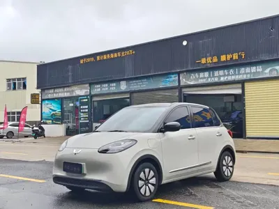 Wuling Bingo