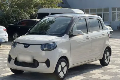 Xiaohu EV