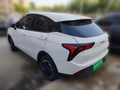 NETA V