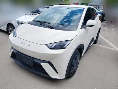 BYD Seagull