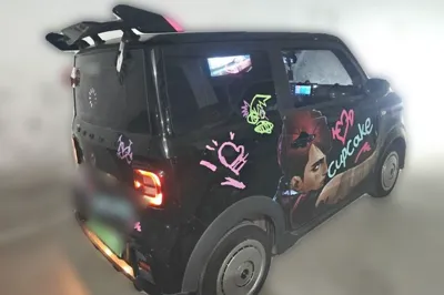 Geely Galaxy Panda