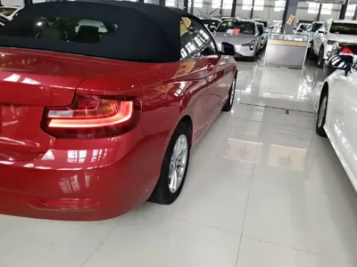 BMW 2 Series (Import)