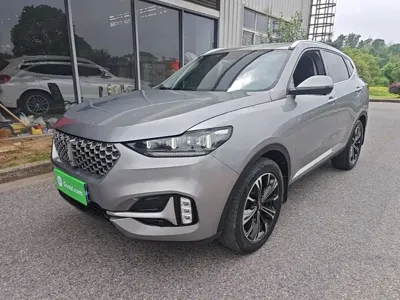WEY Wey VV6