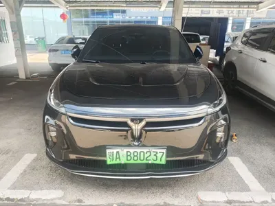 Voyah Zhiyin