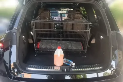 Li Auto L9