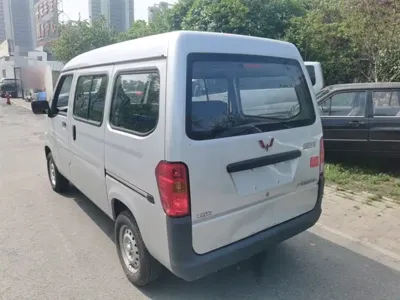 Wuling Zhiguang