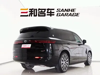 Denza 腾势N9