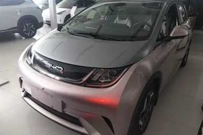 BYD Dolphin