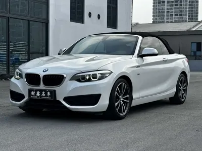 BMW 2 Series (Import)