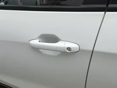 NETA Neta V
