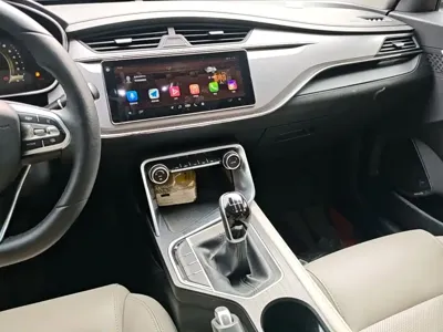 Geely Binrui