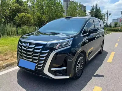 Denza Denza D9