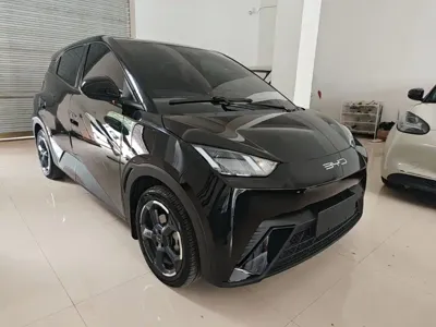 BYD Seagull