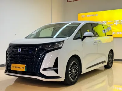 Denza Denza D9