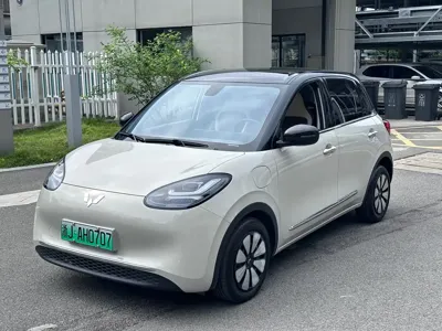 Wuling Bingo