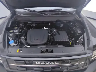 Haval Menglong New Energy