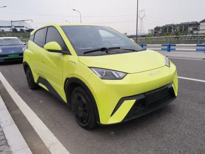 BYD Seagull