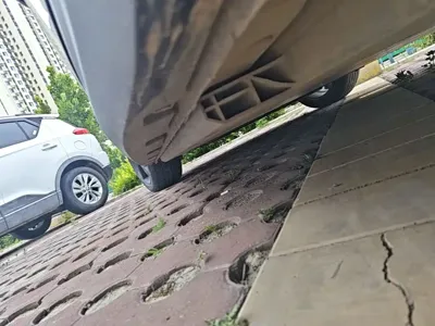 ORA Ora Good Cat