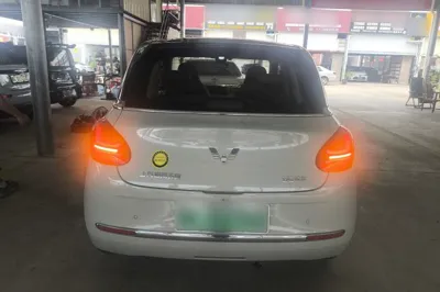 Wuling Bingo