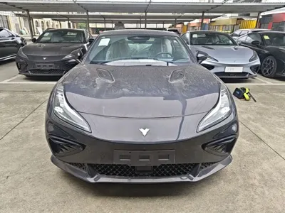 NETA Neta GT