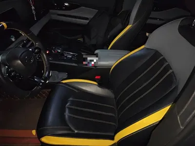 GAC Motor Shadow Leopard