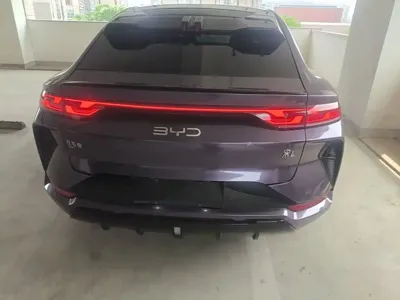 BYD L EV