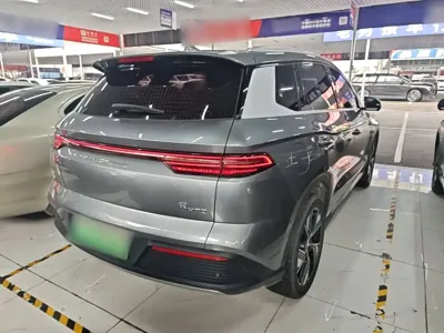 BYD Pro New Energy