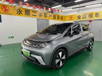 BYD Dolphin