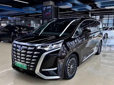 Denza Denza D9