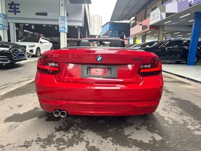BMW 2 Series (Import)