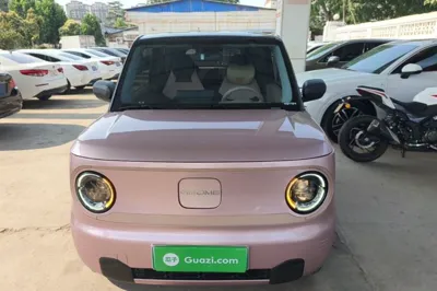 Geely Galaxy Panda