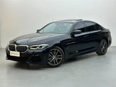 BMW 5 Series (Import)