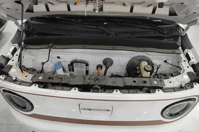Geely Galaxy Panda