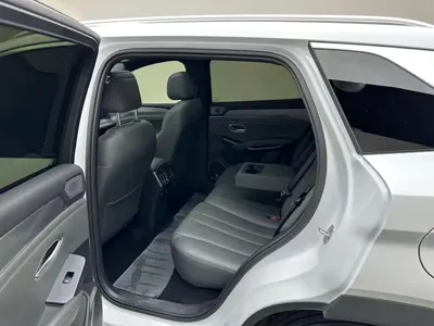 BYD L DM-i