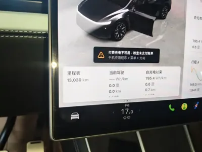 Tesla Model Y L